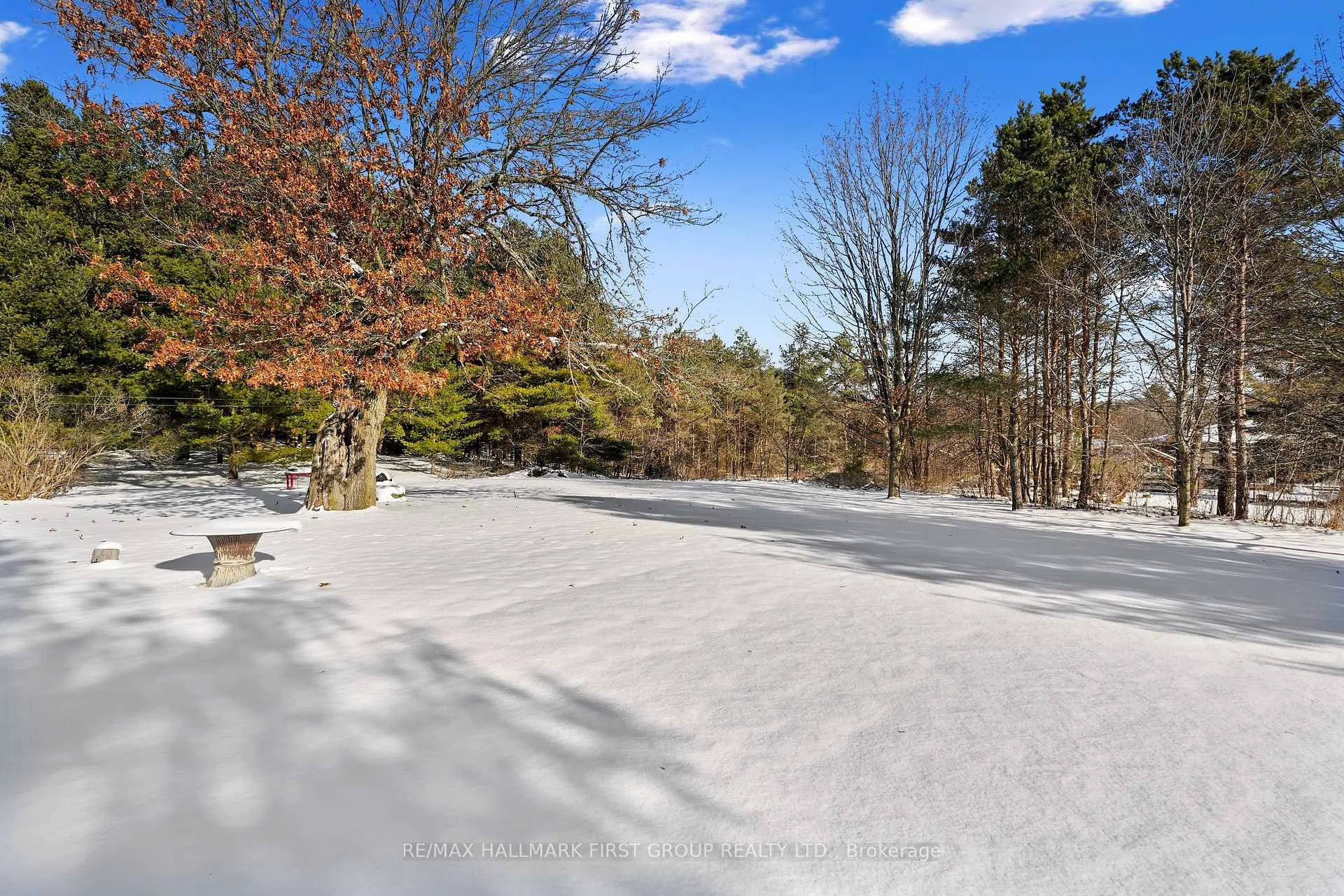 Photo 42 of 1859 Percy Street, Cramahe, Castleton — HOMEH
