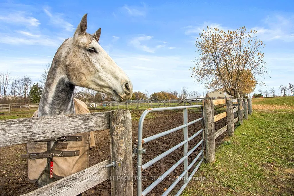 Photo 50 of 5706 Third Line, Erin, Rural Erin — HOMEH