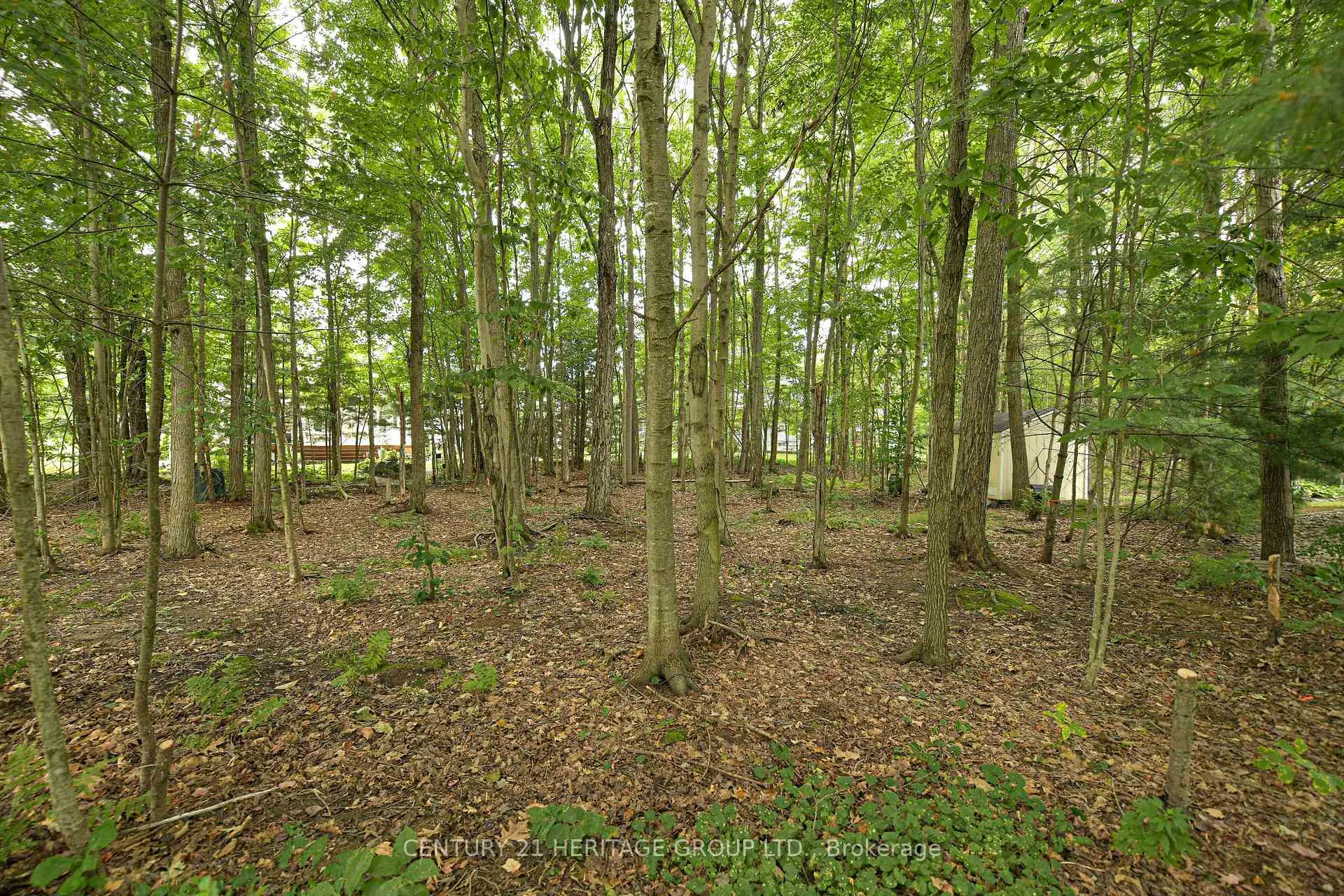 Photo 5 of 130 Hedgewood Lane, Gravenhurst, Muskoka (S) — HOMEH