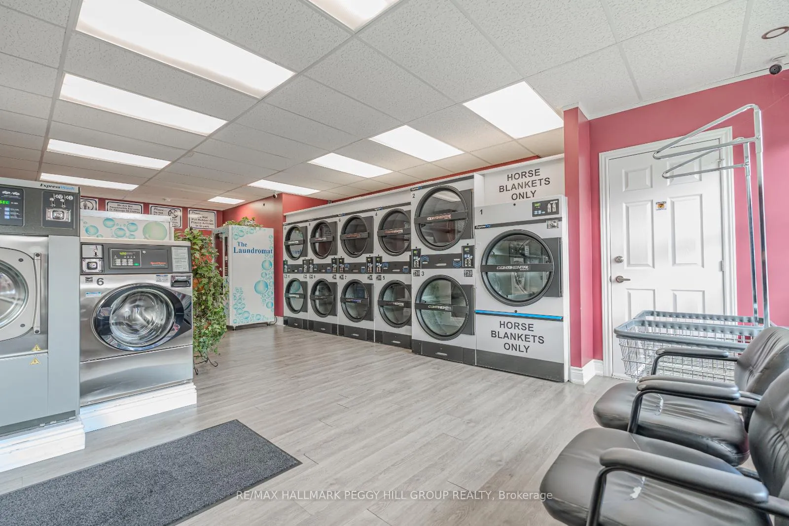 Photo 4 of 30 Queen Street W, Springwater, Elmvale — HOMEH