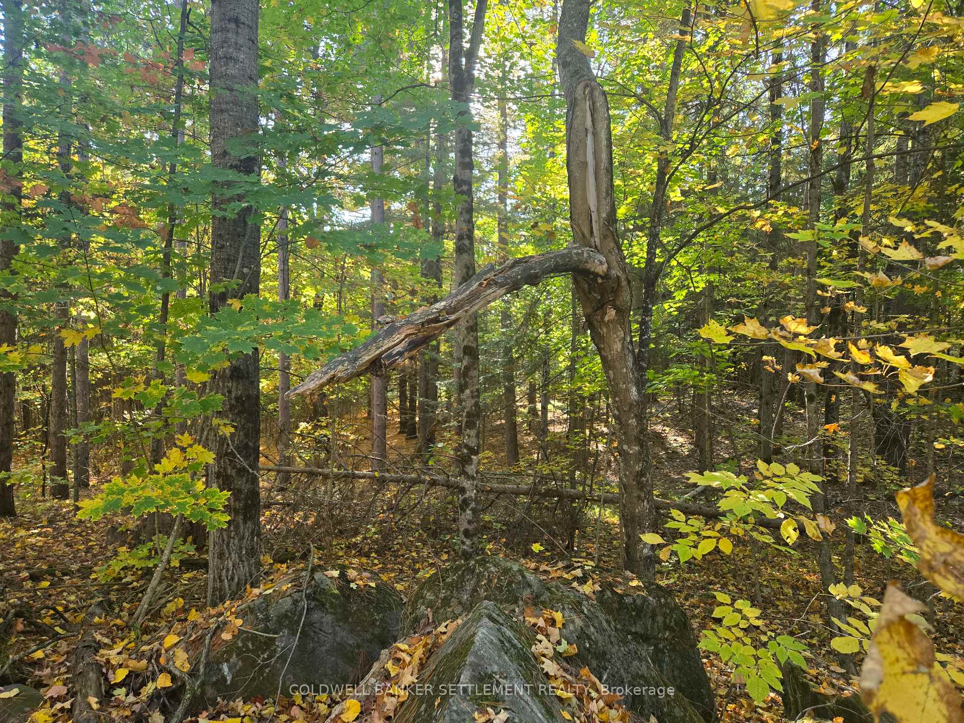 Photo 2 of Dalhousie Con 4 Concession, Lanark Highlands, Lanark Highlands (Dalhousie) Twp — HOMEH