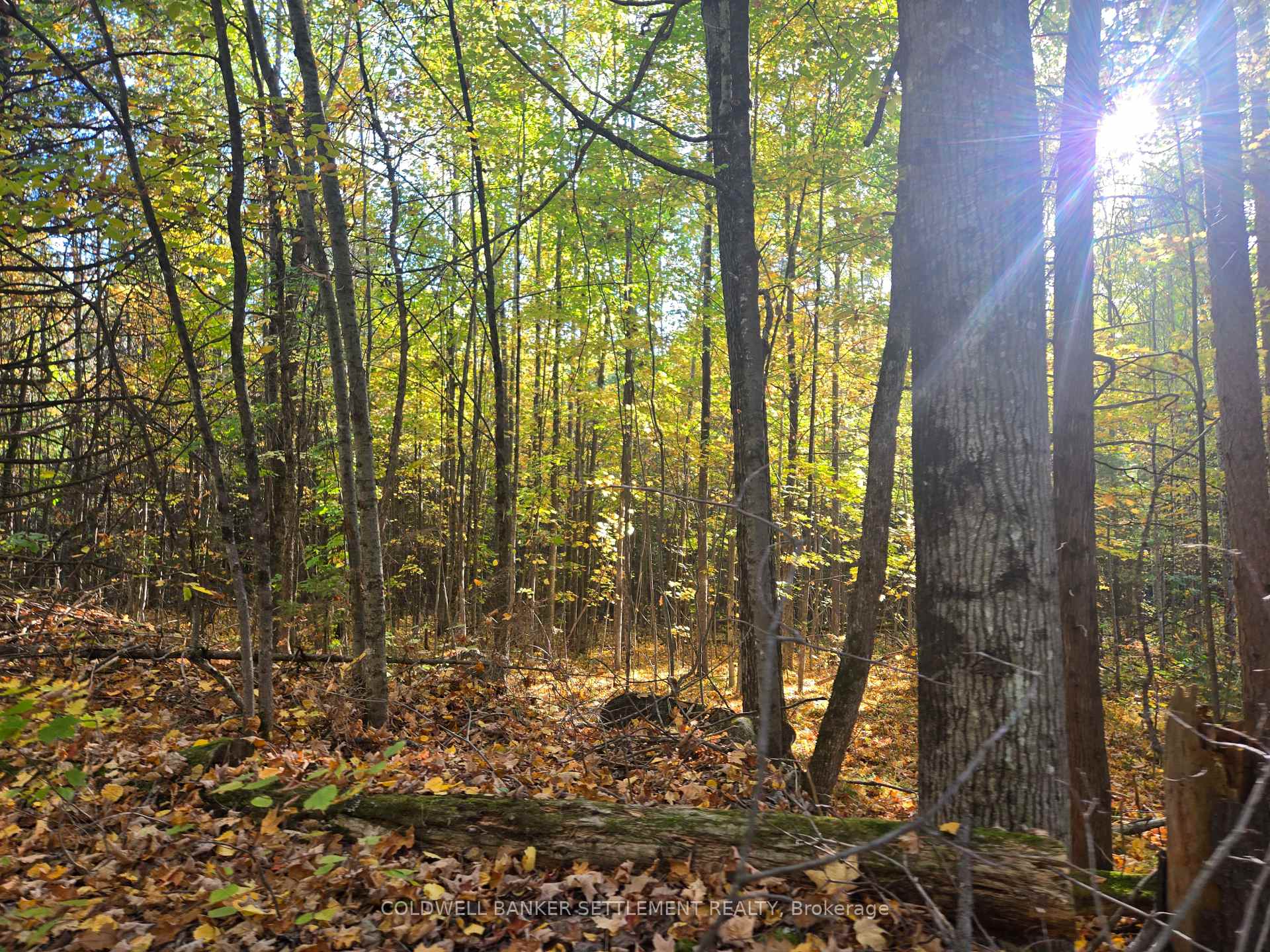 Photo 3 of Dalhousie Con 4 Concession, Lanark Highlands, Lanark Highlands (Dalhousie) Twp — HOMEH