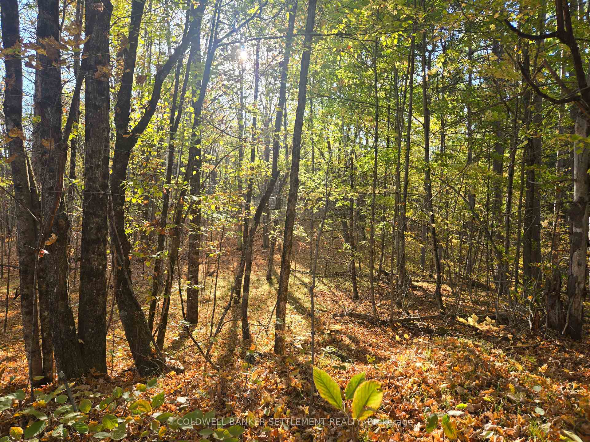 Photo 4 of Dalhousie Con 4 Concession, Lanark Highlands, Lanark Highlands (Dalhousie) Twp — HOMEH