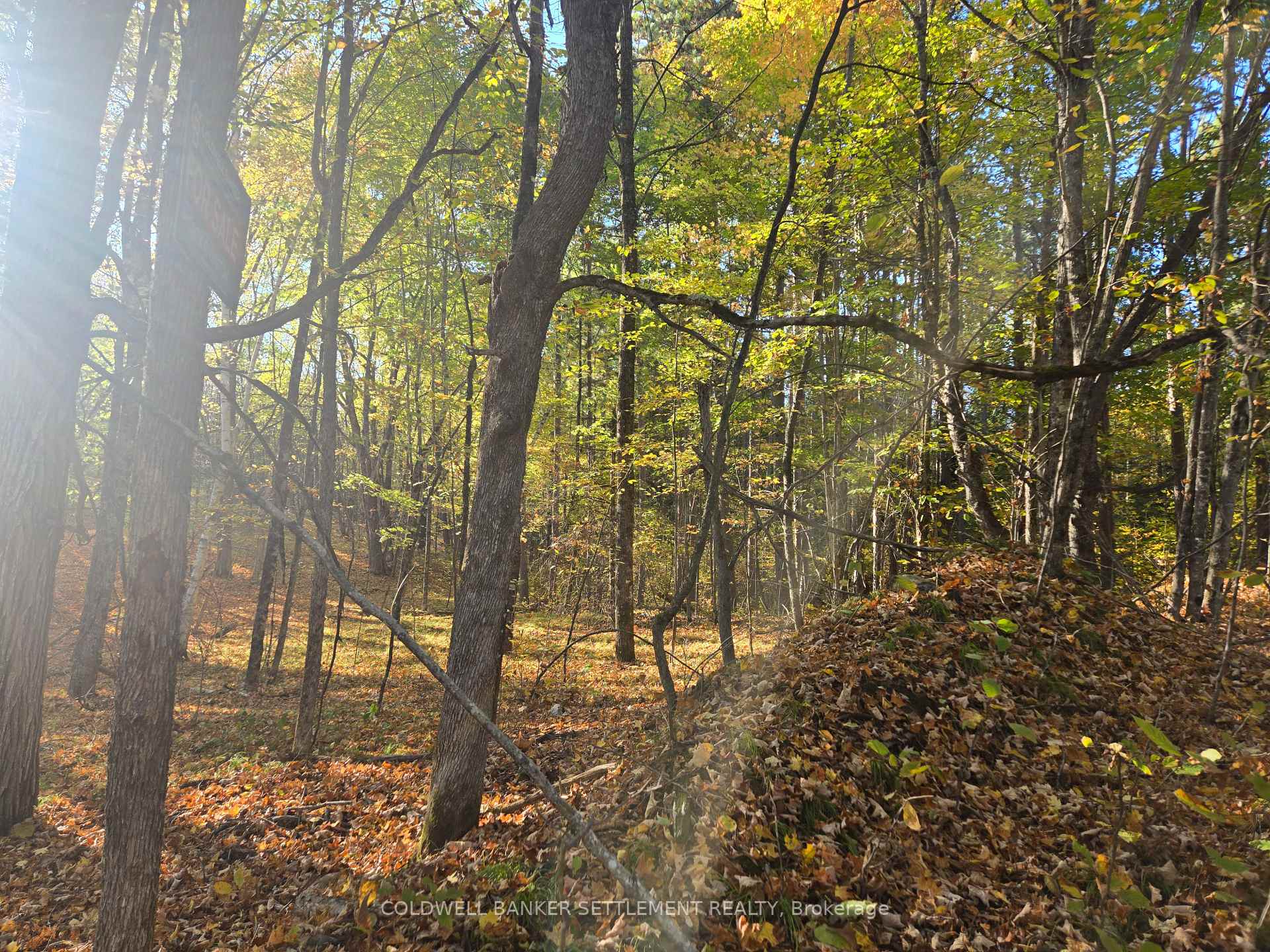 Photo 5 of Dalhousie Con 4 Concession, Lanark Highlands, Lanark Highlands (Dalhousie) Twp — HOMEH