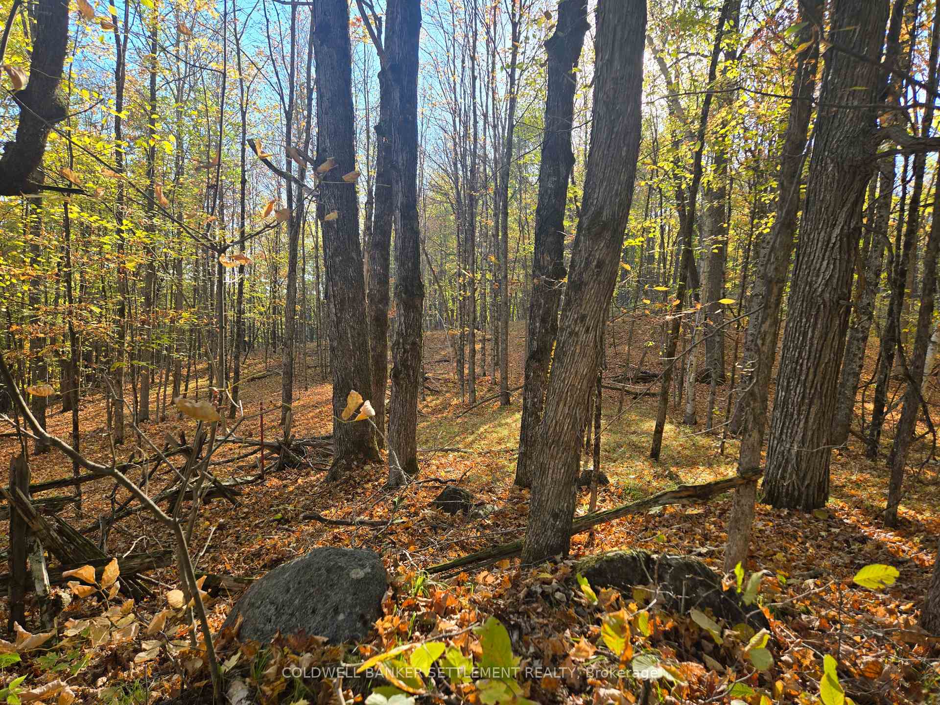 Photo 6 of Dalhousie Con 4 Concession, Lanark Highlands, Lanark Highlands (Dalhousie) Twp — HOMEH