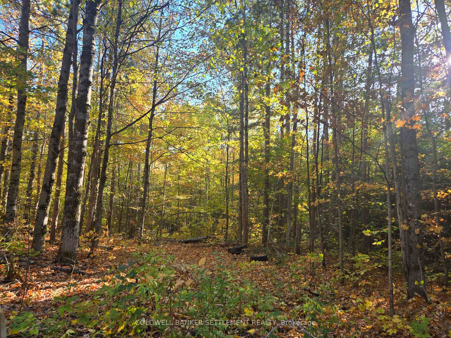 Photo 7 of Dalhousie Con 4 Concession, Lanark Highlands, Lanark Highlands (Dalhousie) Twp — HOMEH