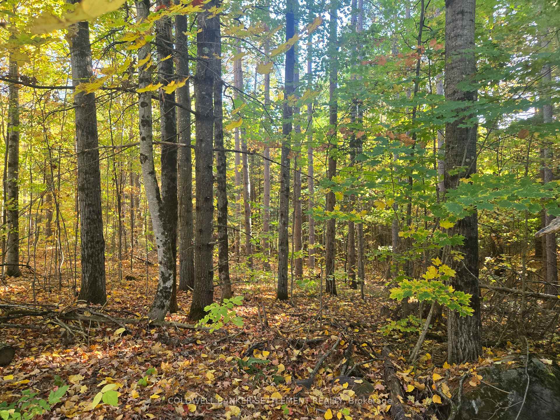 Photo 8 of Dalhousie Con 4 Concession, Lanark Highlands, Lanark Highlands (Dalhousie) Twp — HOMEH