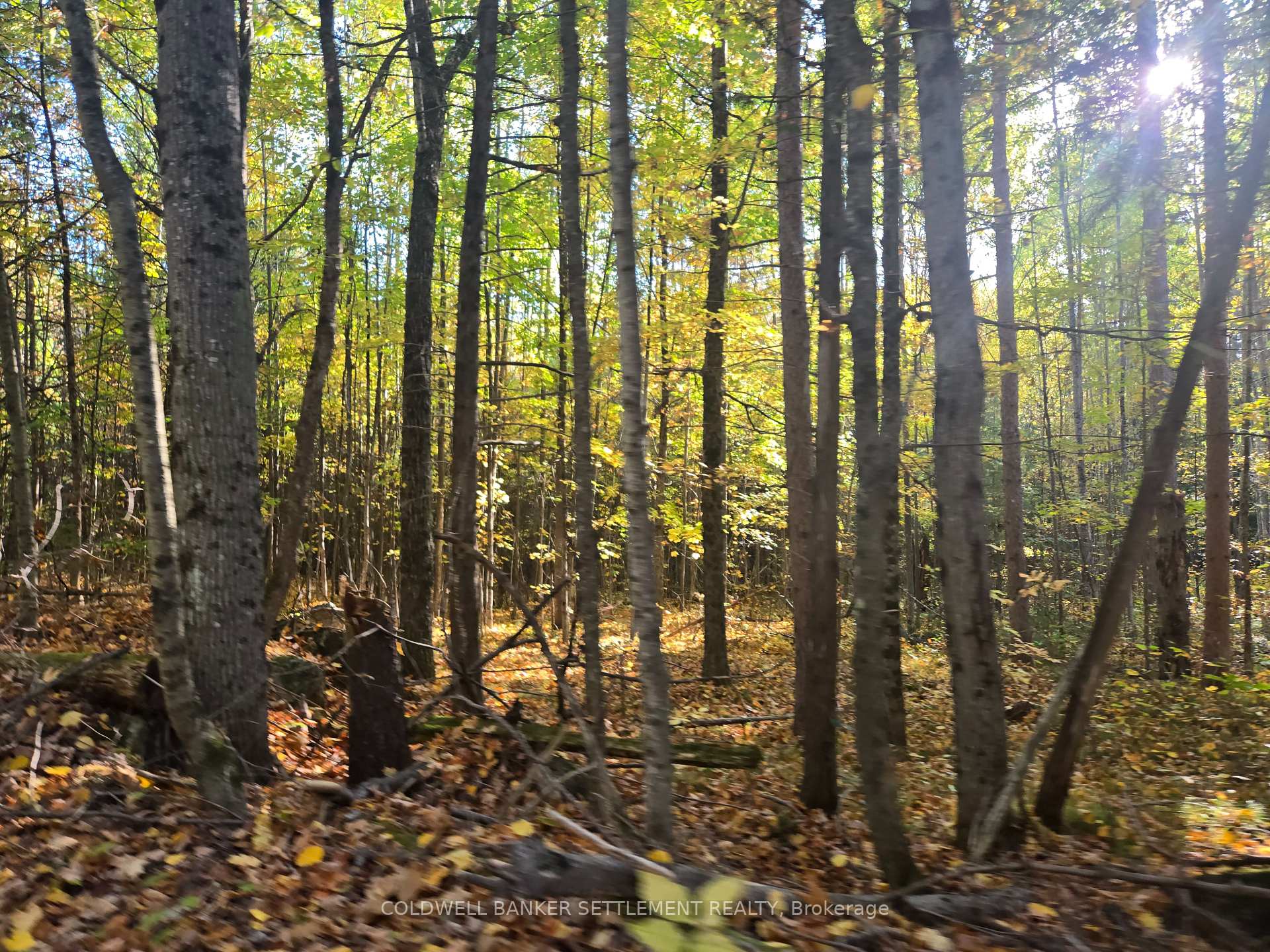 Photo 9 of Dalhousie Con 4 Concession, Lanark Highlands, Lanark Highlands (Dalhousie) Twp — HOMEH
