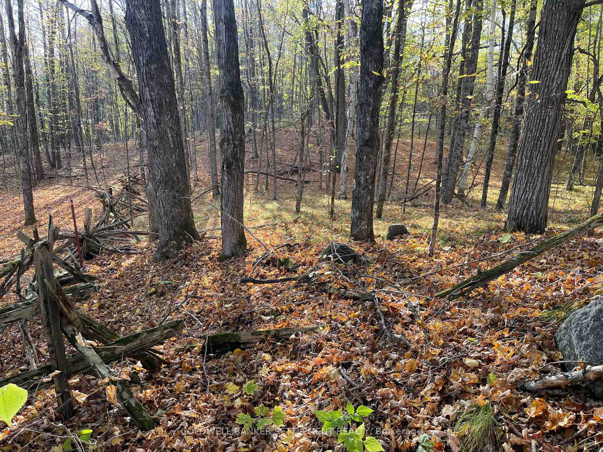 Photo 10 of Dalhousie Con 4 Concession, Lanark Highlands, Lanark Highlands (Dalhousie) Twp — HOMEH