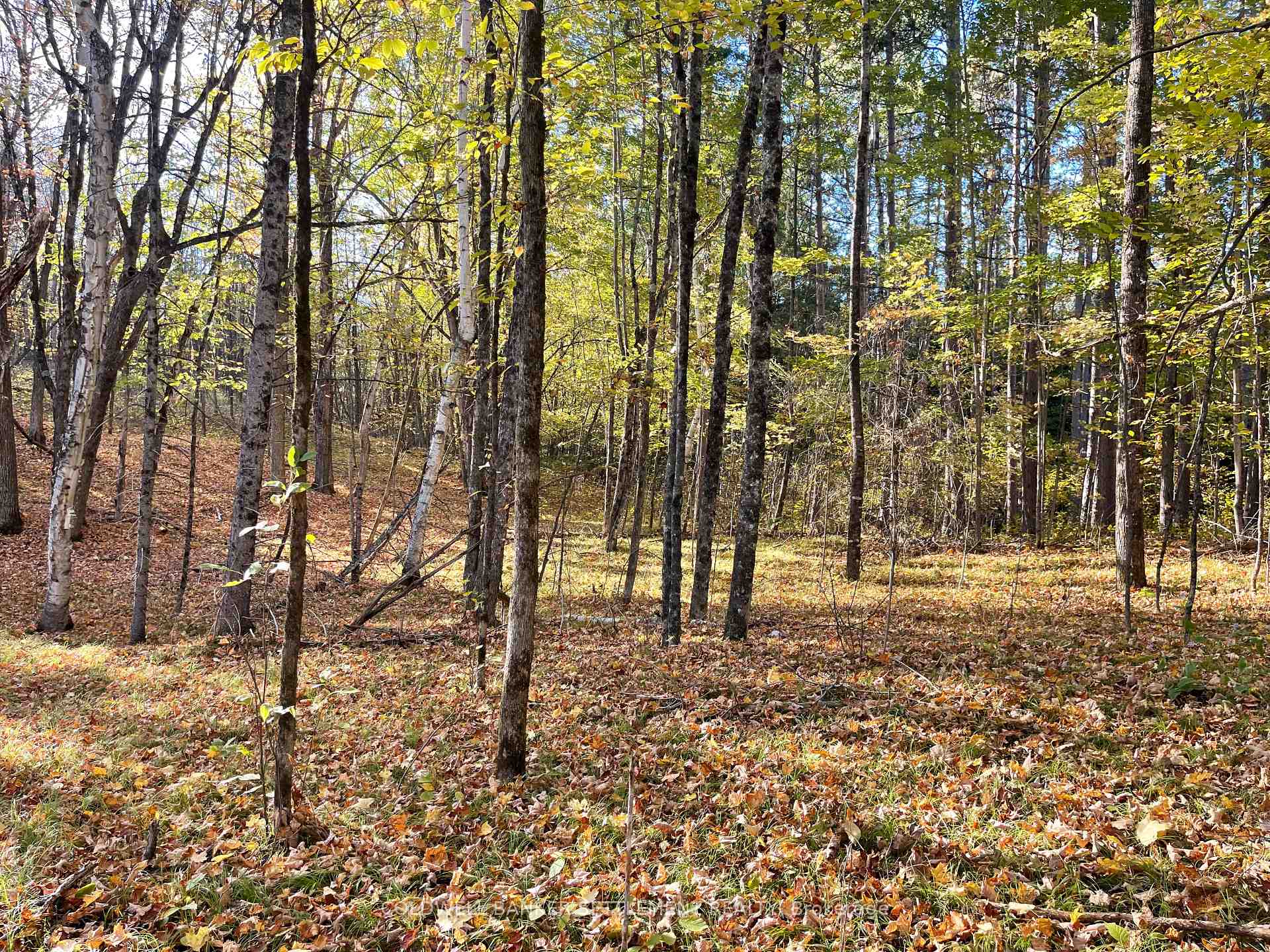 Photo 11 of Dalhousie Con 4 Concession, Lanark Highlands, Lanark Highlands (Dalhousie) Twp — HOMEH