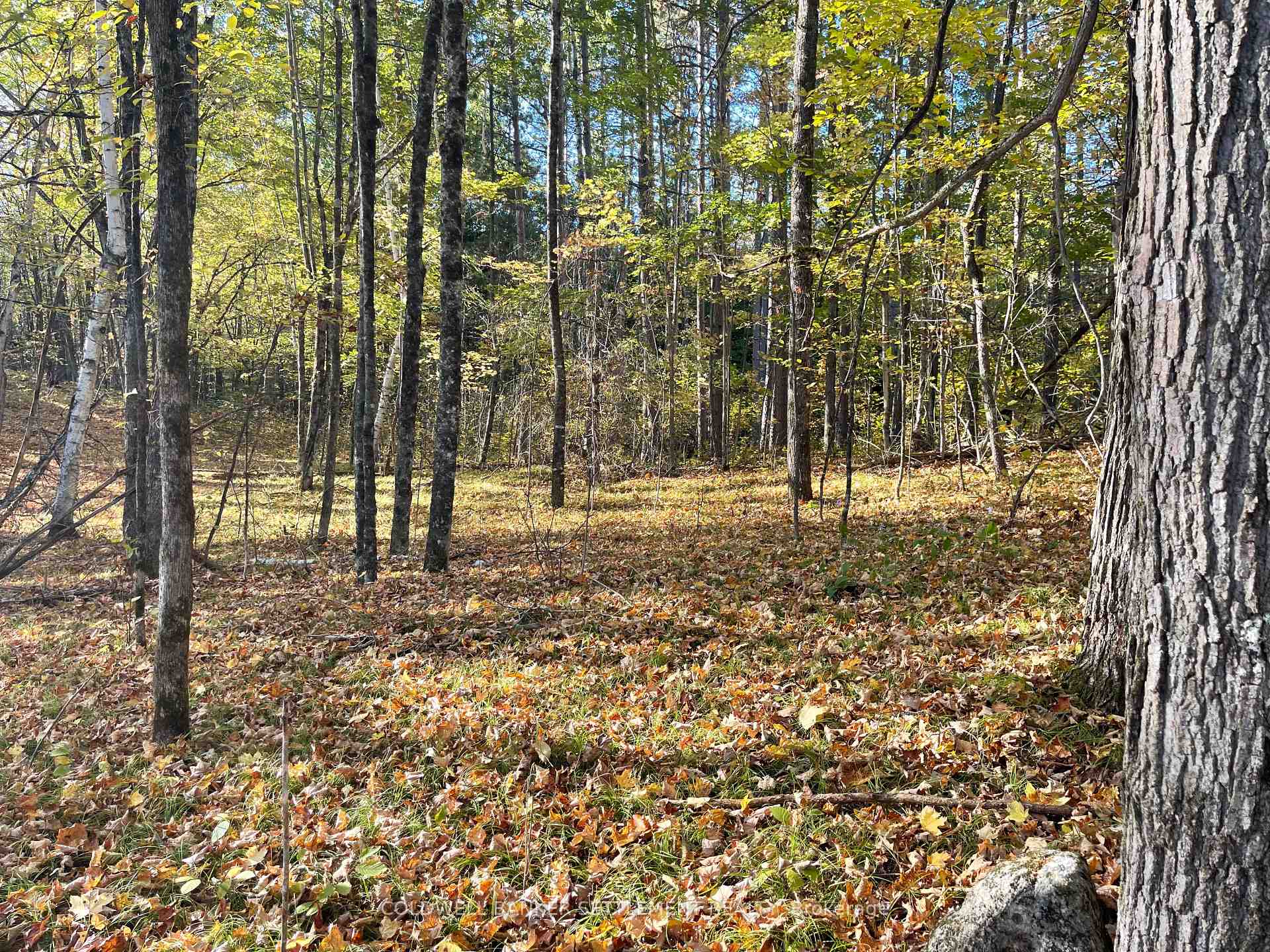 Photo 12 of Dalhousie Con 4 Concession, Lanark Highlands, Lanark Highlands (Dalhousie) Twp — HOMEH