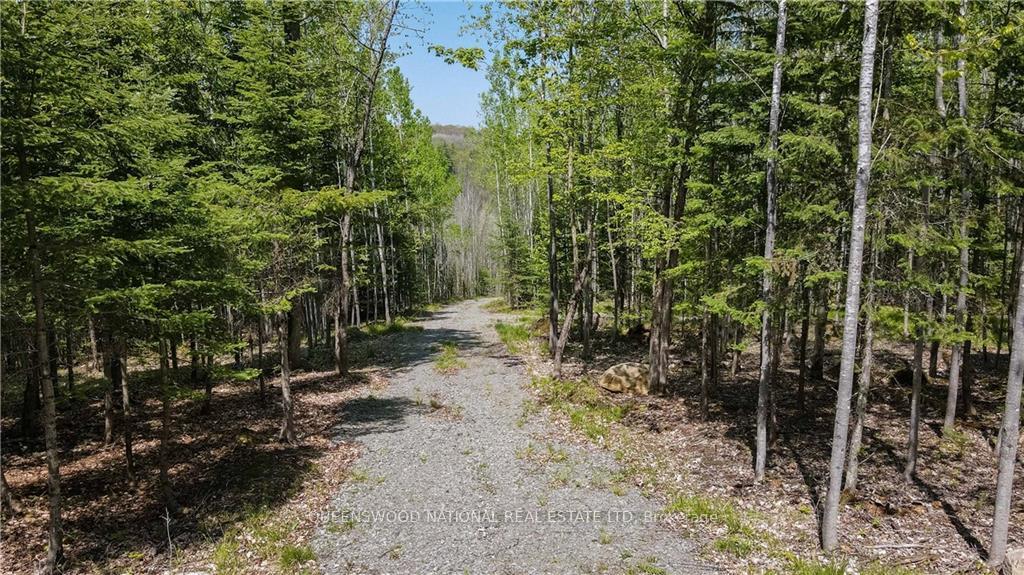 Photo 1 of 38986A Combermere Road, Madawaska Valley, Madawaska Valley — HOMEH