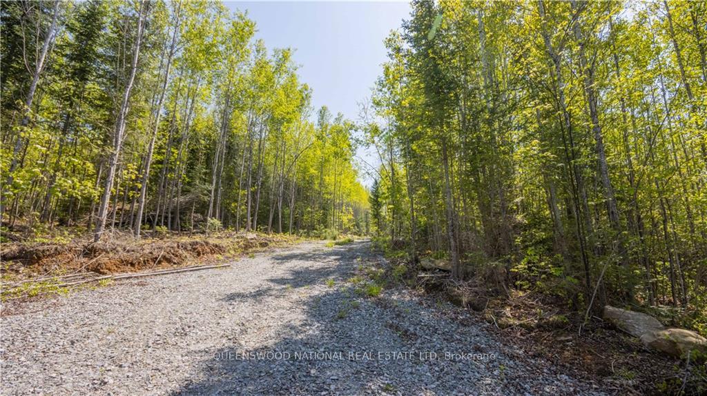 Photo 2 of 38986A Combermere Road, Madawaska Valley, Madawaska Valley — HOMEH