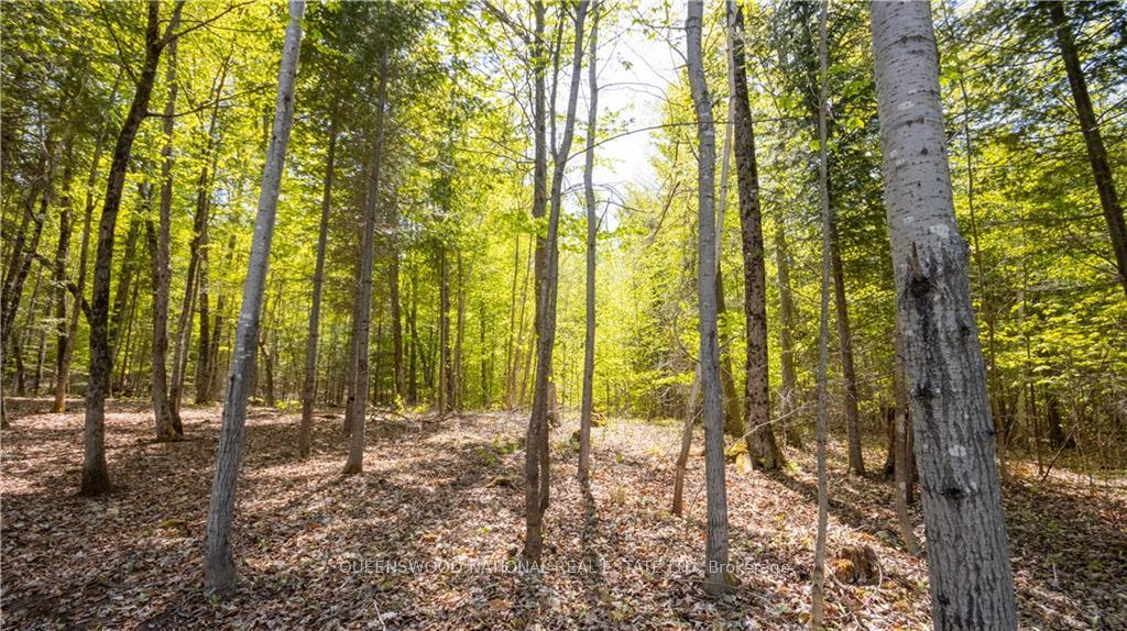 Photo 3 of 38986A Combermere Road, Madawaska Valley, Madawaska Valley — HOMEH