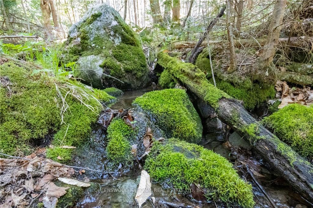 Photo 4 of 38986A Combermere Road, Madawaska Valley, Madawaska Valley — HOMEH