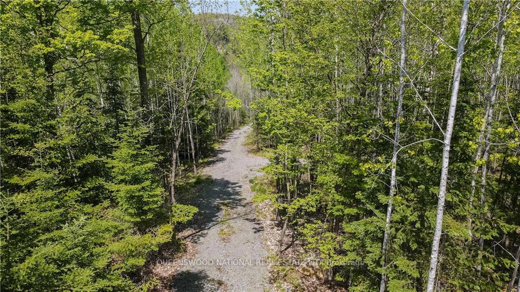 Photo 6 of 38986A Combermere Road, Madawaska Valley, Madawaska Valley — HOMEH