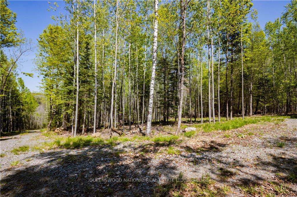 Photo 7 of 38986A Combermere Road, Madawaska Valley, Madawaska Valley — HOMEH