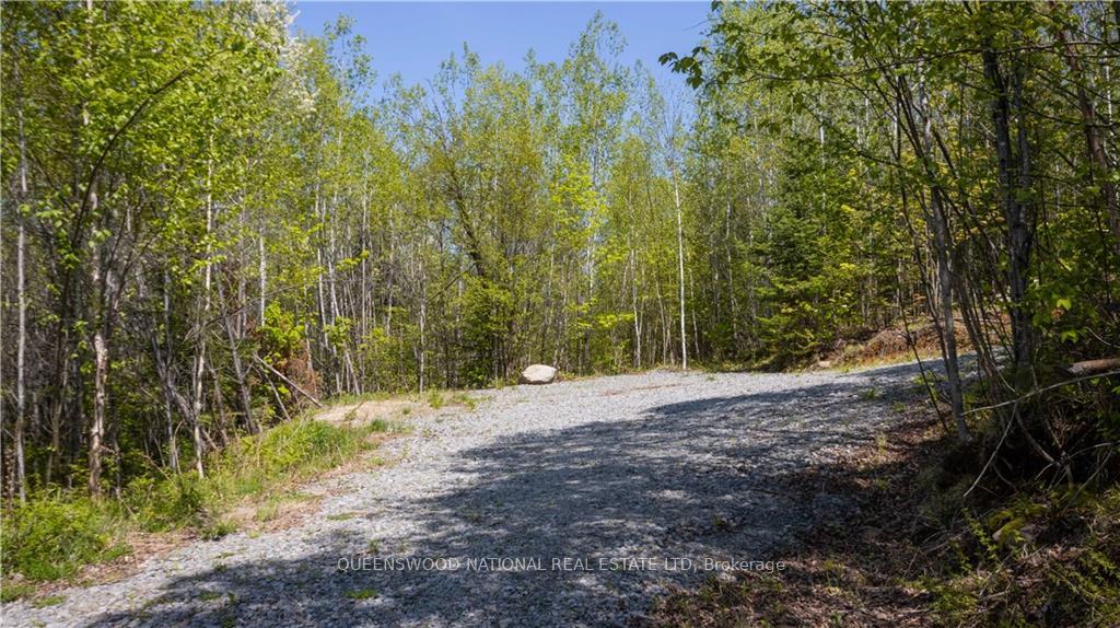 Photo 9 of 38986A Combermere Road, Madawaska Valley, Madawaska Valley — HOMEH
