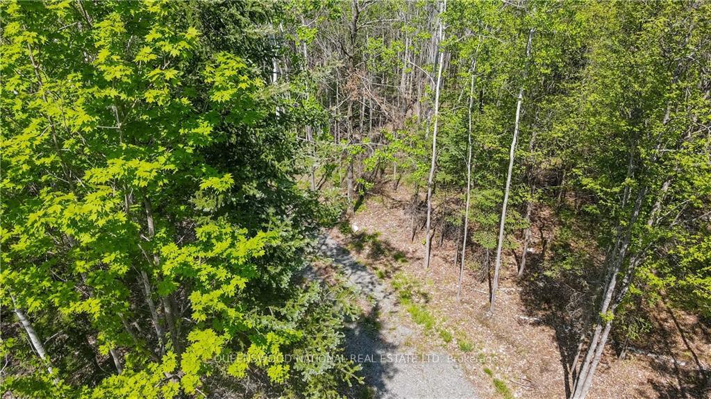 Photo 12 of 38986A Combermere Road, Madawaska Valley, Madawaska Valley — HOMEH