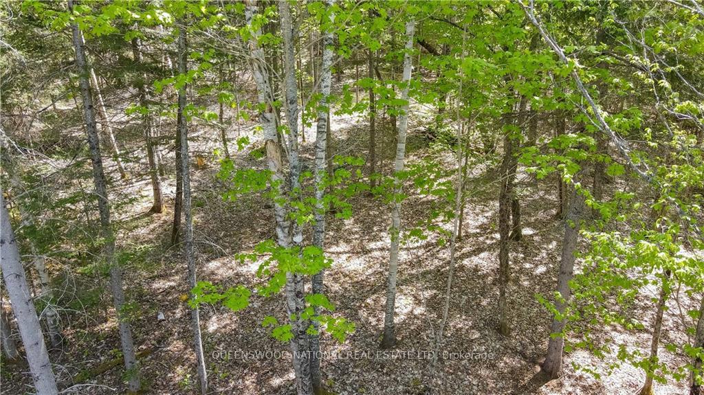 Photo 13 of 38986A Combermere Road, Madawaska Valley, Madawaska Valley — HOMEH