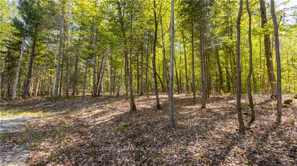 Photo 14 of 38986A Combermere Road, Madawaska Valley, Madawaska Valley — HOMEH