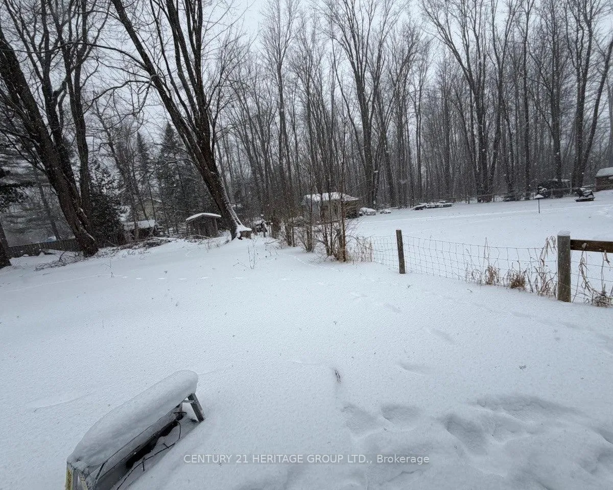 Photo 14 of 26826 Park Road, Georgina, Sutton & Jackson's Point — HOMEH