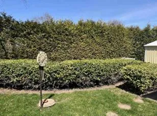 Photo 36 of 731 Breezy Drive, Pickering, West Shore — HOMEH