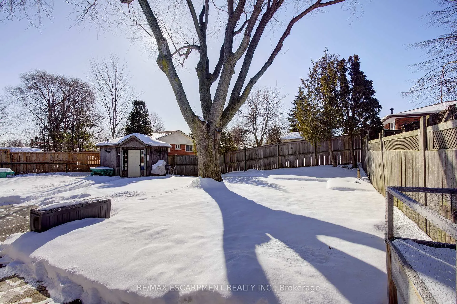 Photo 41 of 8 Jeanette Street, Hamilton, Lawfield — HOMEH