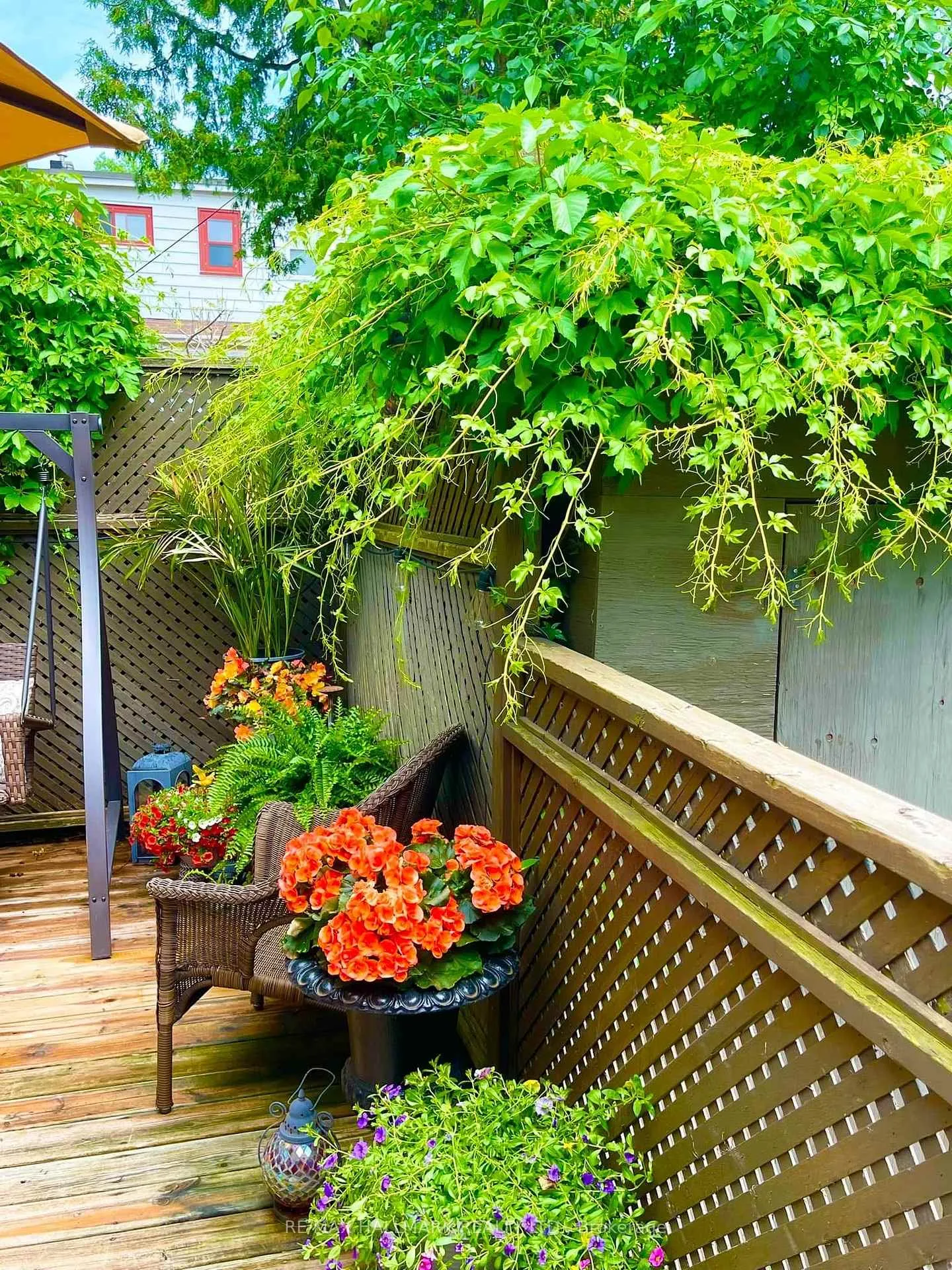 Photo 39 of 39 Hiltz Avenue, Toronto, South Riverdale — HOMEH