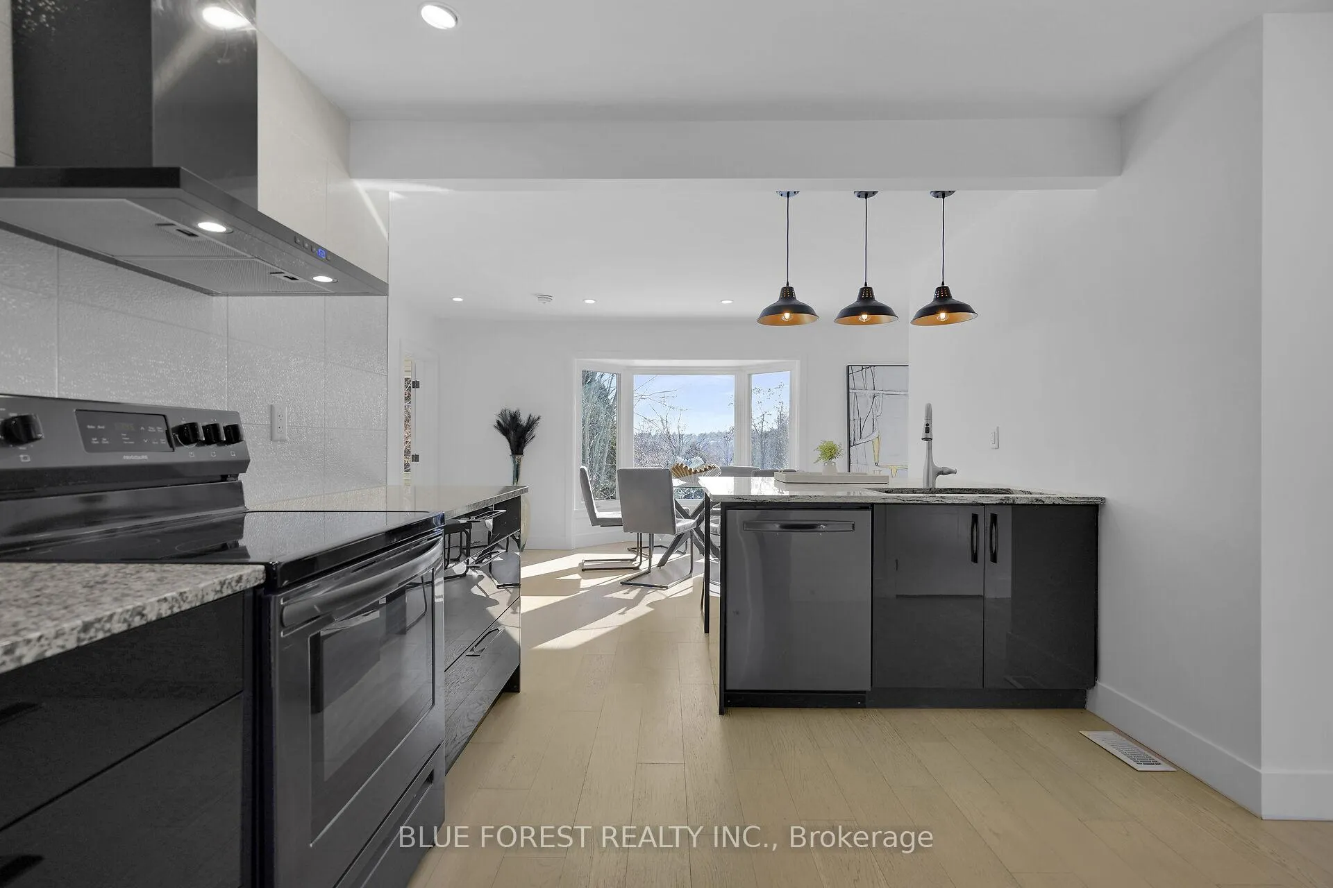 Photo 19 of 878 Riverside Drive, London, North Q — HOMEH