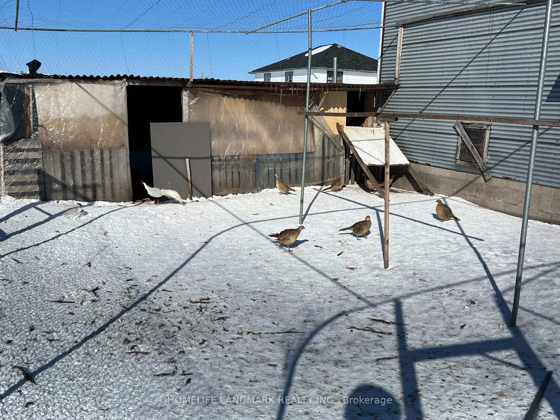 Photo 49 of 110 Aileen Avenue, King, Rural King — HOMEH