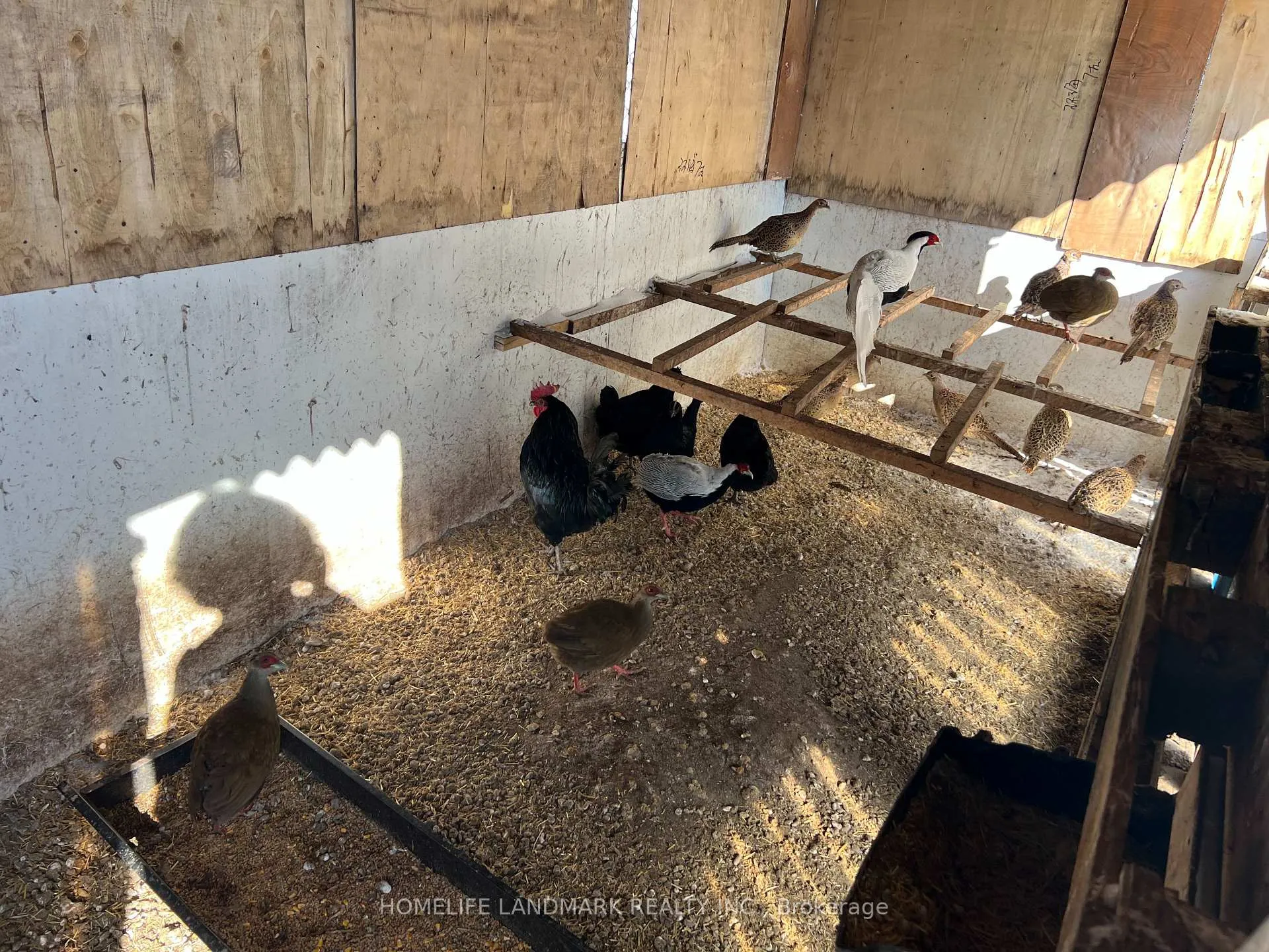 Photo 20 of 110 Aileen Avenue, King, Rural King — HOMEH