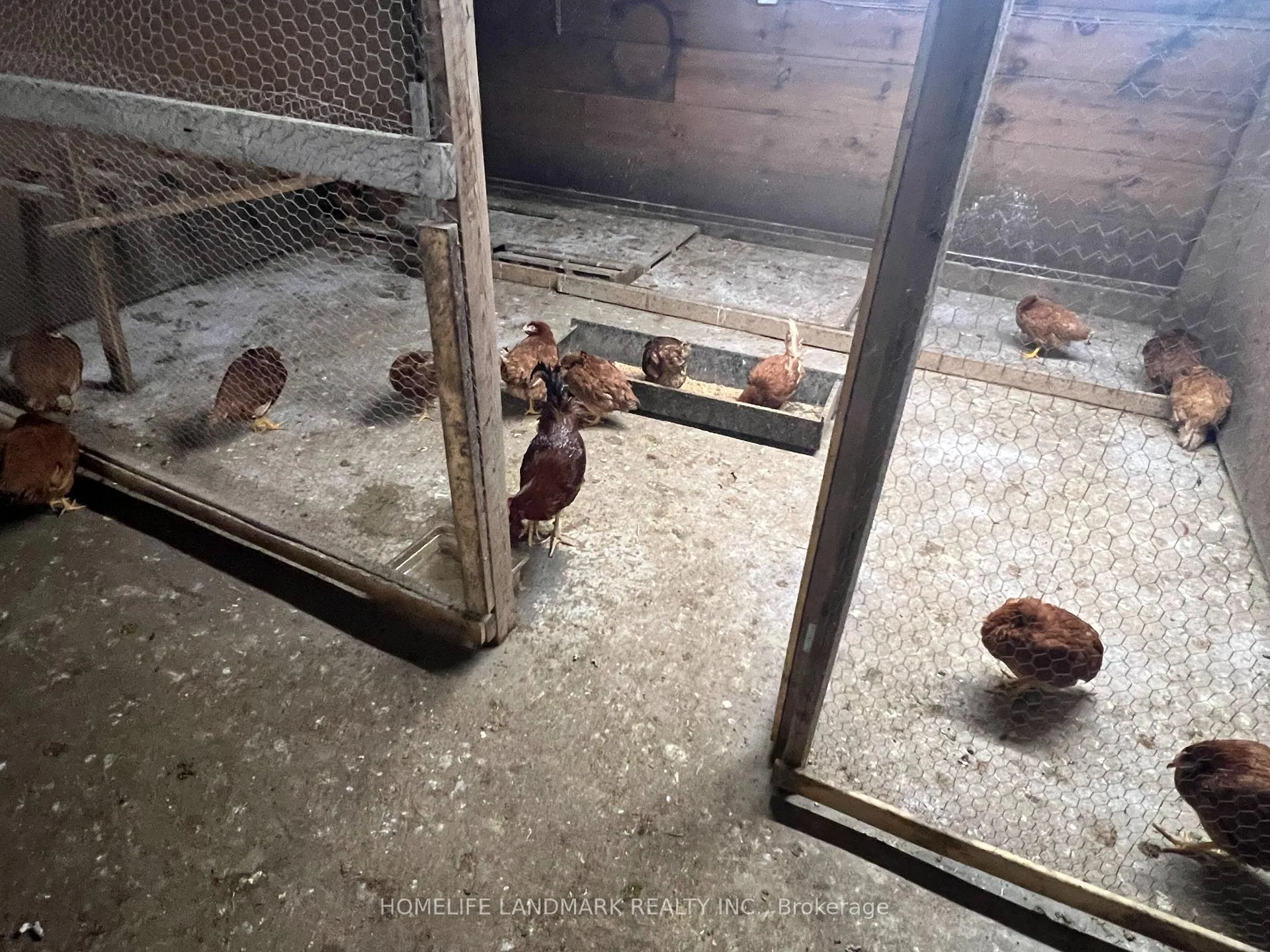 Photo 22 of 110 Aileen Avenue, King, Rural King — HOMEH