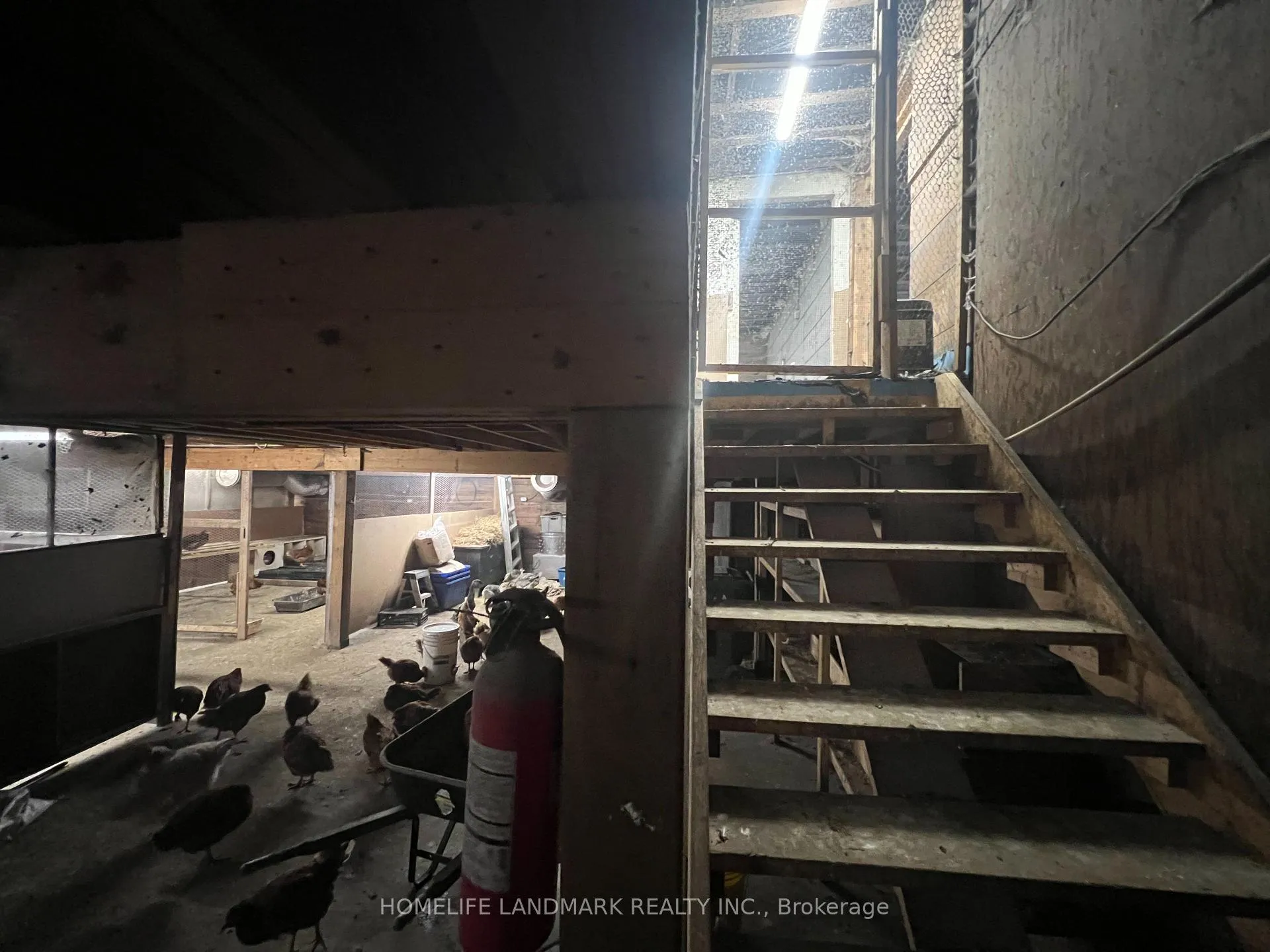 Photo 23 of 110 Aileen Avenue, King, Rural King — HOMEH