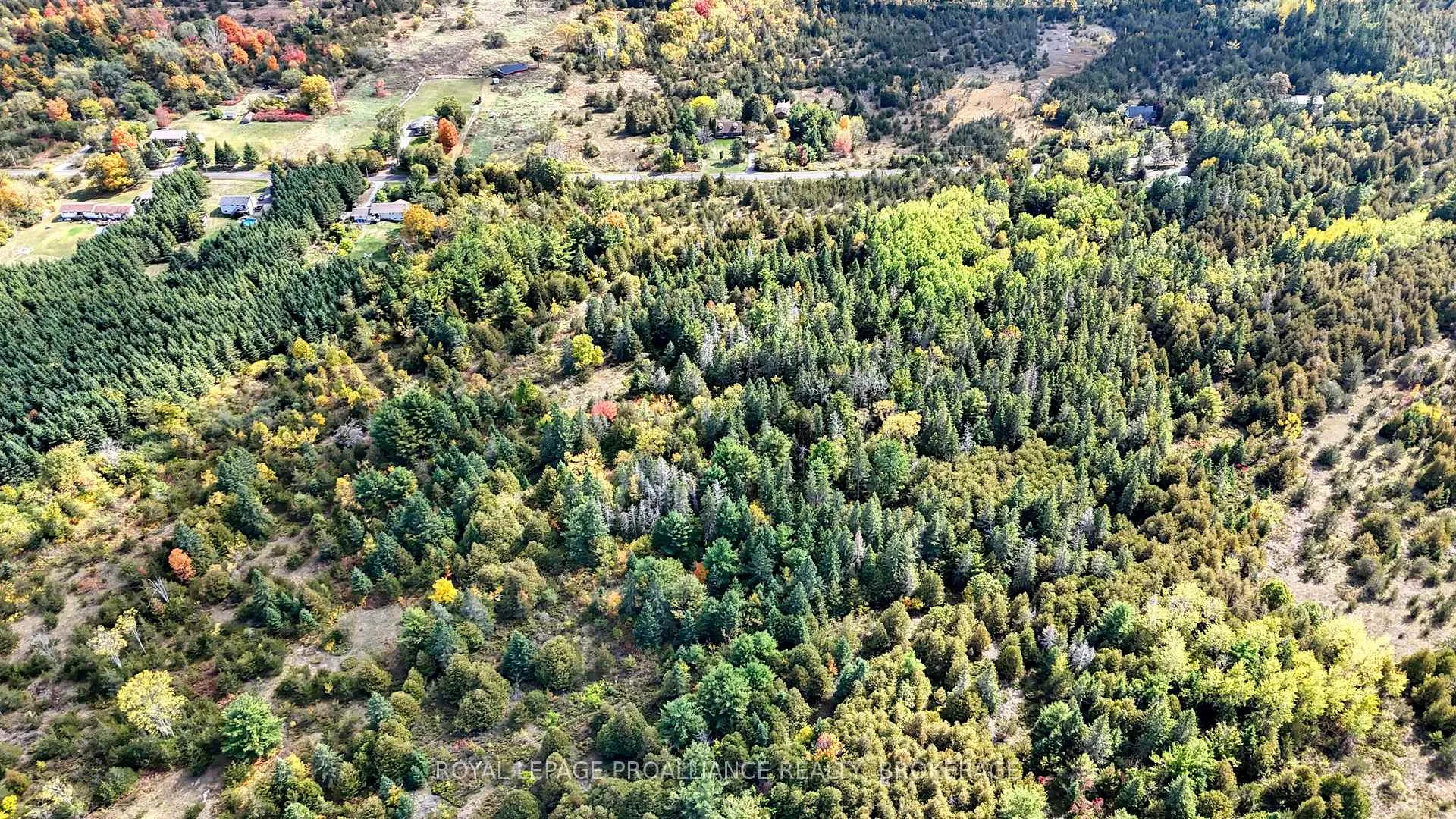 Photo 9 of PT LT 40 Cutler Road, Stone Mills — HOMEH