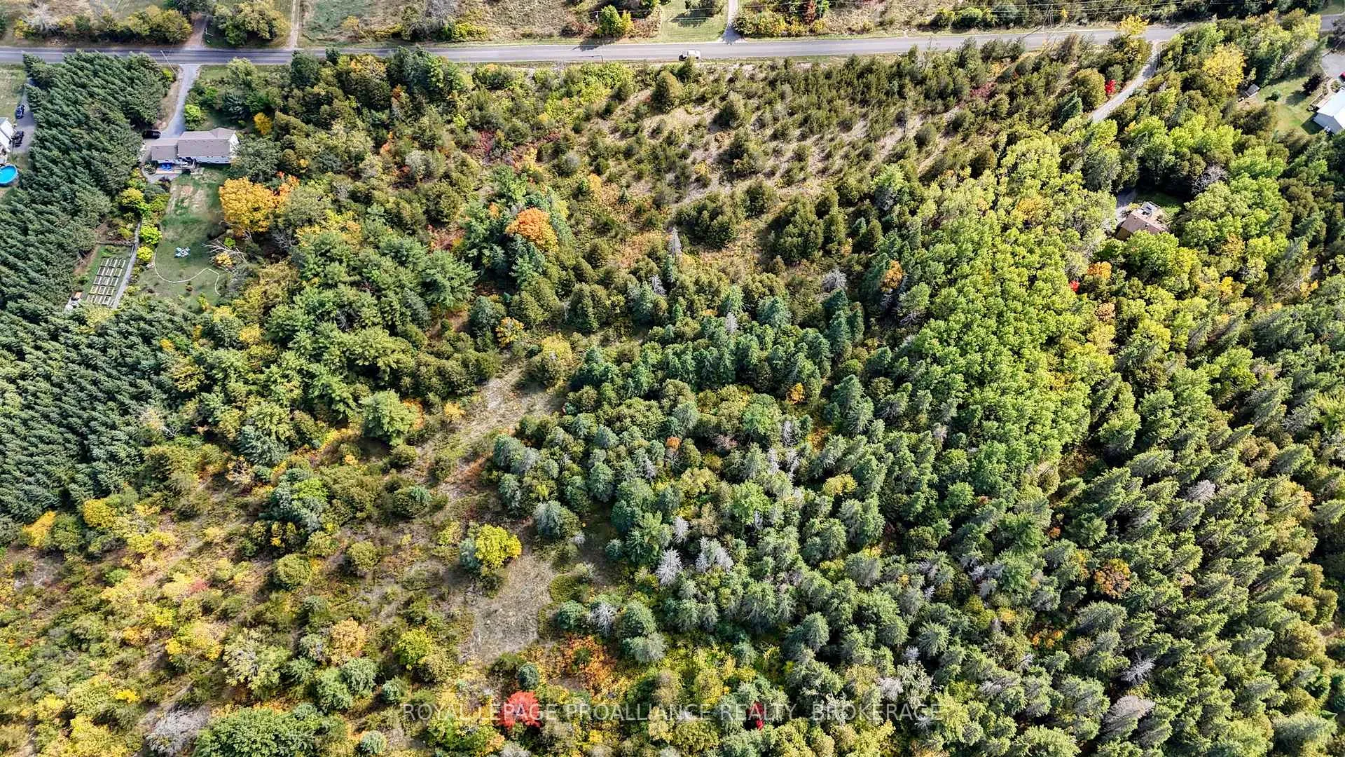 Photo 10 of PT LT 40 Cutler Road, Stone Mills — HOMEH