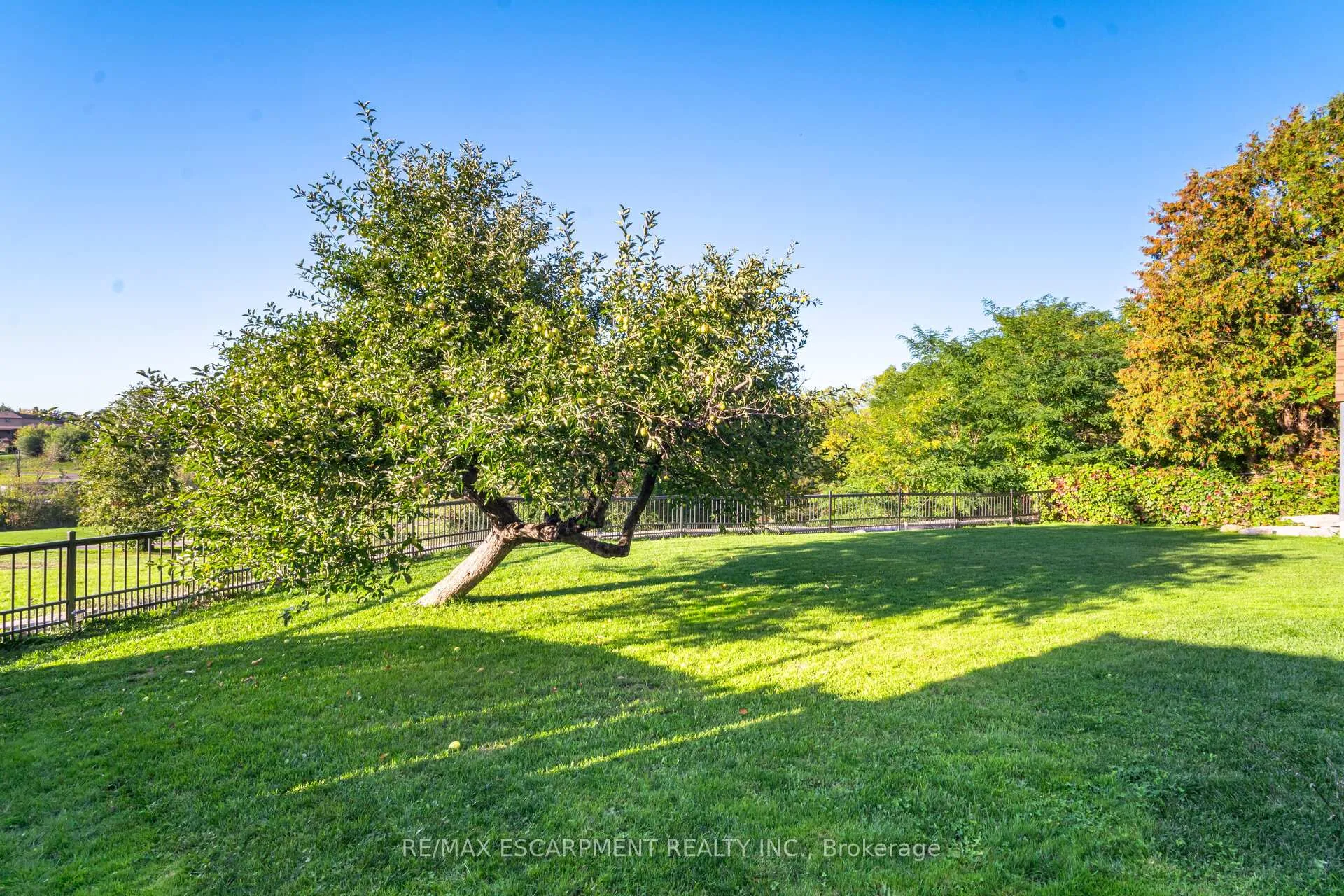 Photo 45 of 154 Rainbow Drive, Vaughan, West Woodbridge — HOMEH