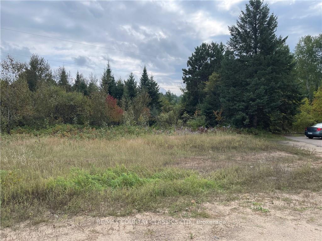 Photo 1 of 005 Arena Road, Madawaska Valley, Madawaska Valley — HOMEH