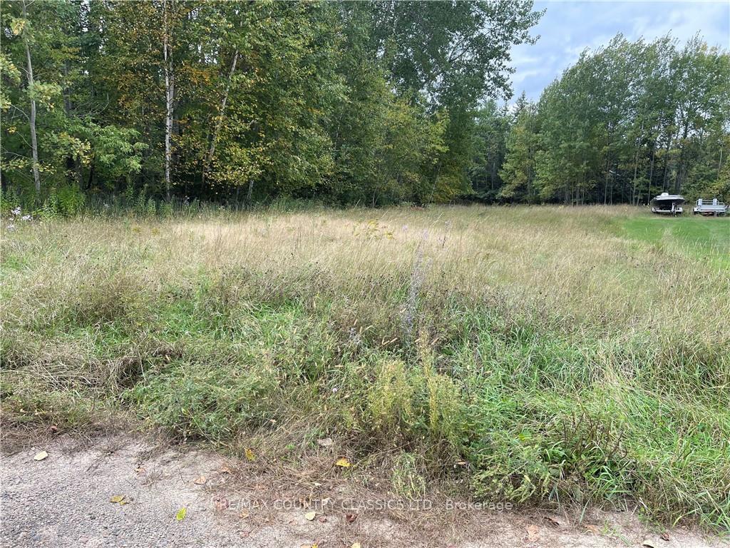 Photo 2 of 005 Arena Road, Madawaska Valley, Madawaska Valley — HOMEH