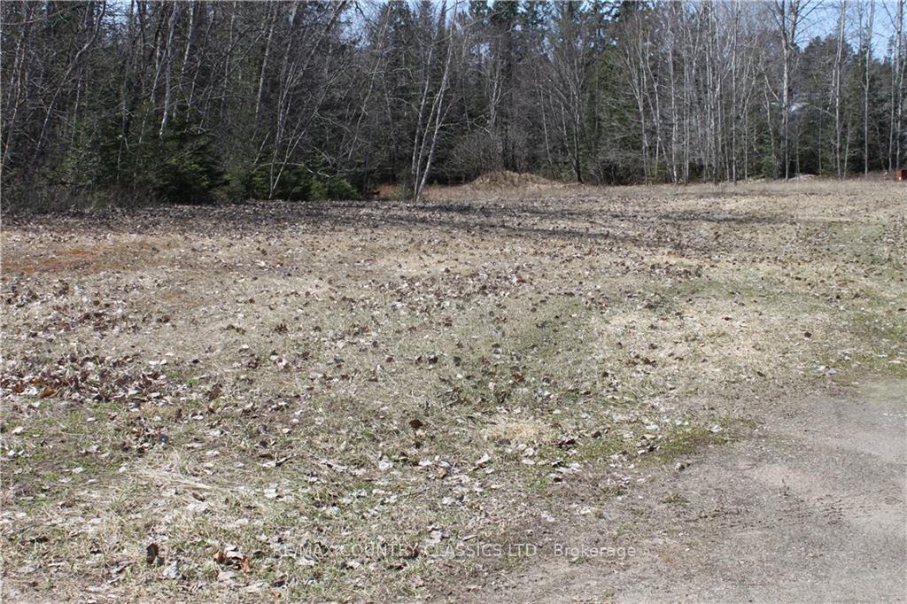 Photo 3 of 005 Arena Road, Madawaska Valley, Madawaska Valley — HOMEH