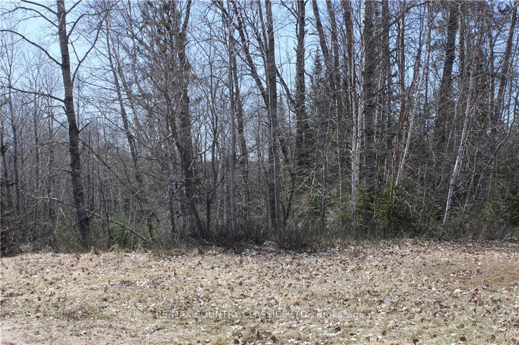 Photo 4 of 005 Arena Road, Madawaska Valley, Madawaska Valley — HOMEH
