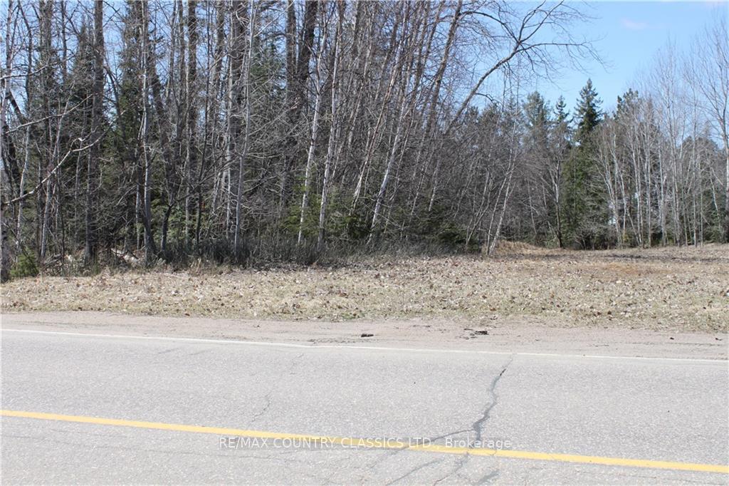 Photo 5 of 005 Arena Road, Madawaska Valley, Madawaska Valley — HOMEH