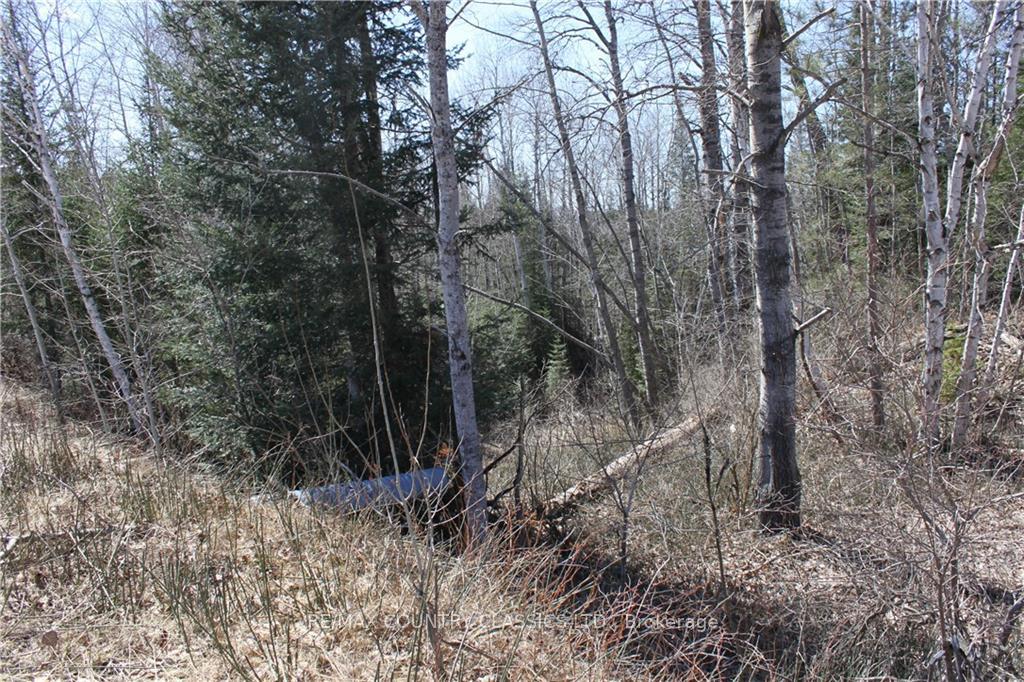 Photo 6 of 005 Arena Road, Madawaska Valley, Madawaska Valley — HOMEH