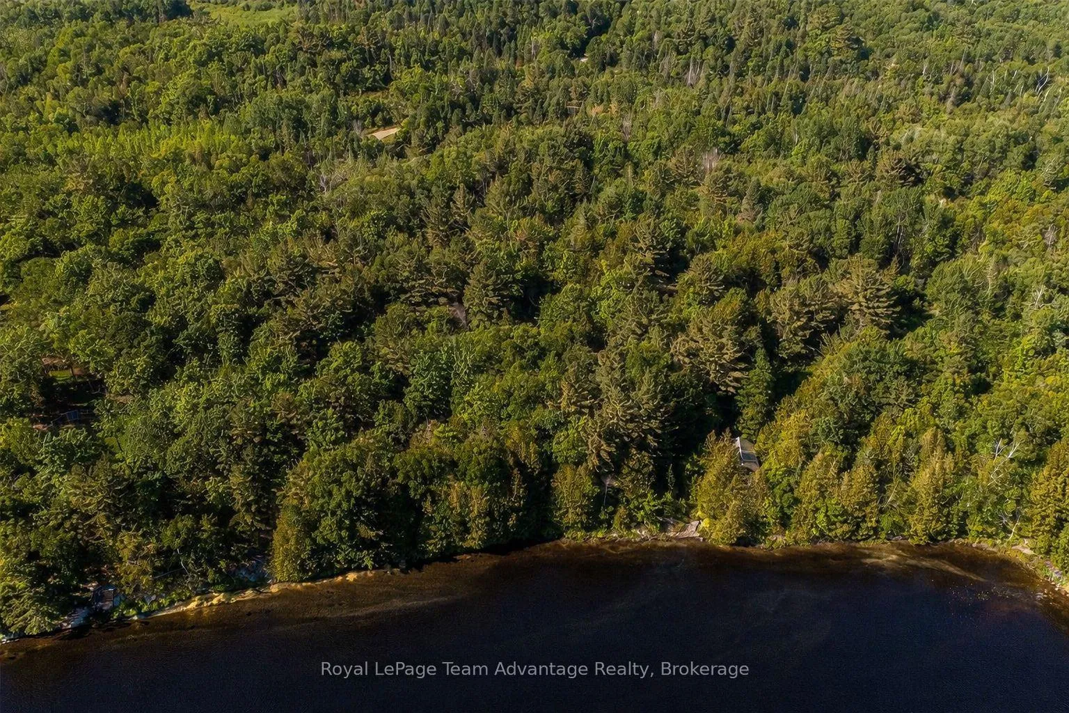 Photo 4 of 990 Shawanaga Lake Road, Whitestone, Hagerman — HOMEH