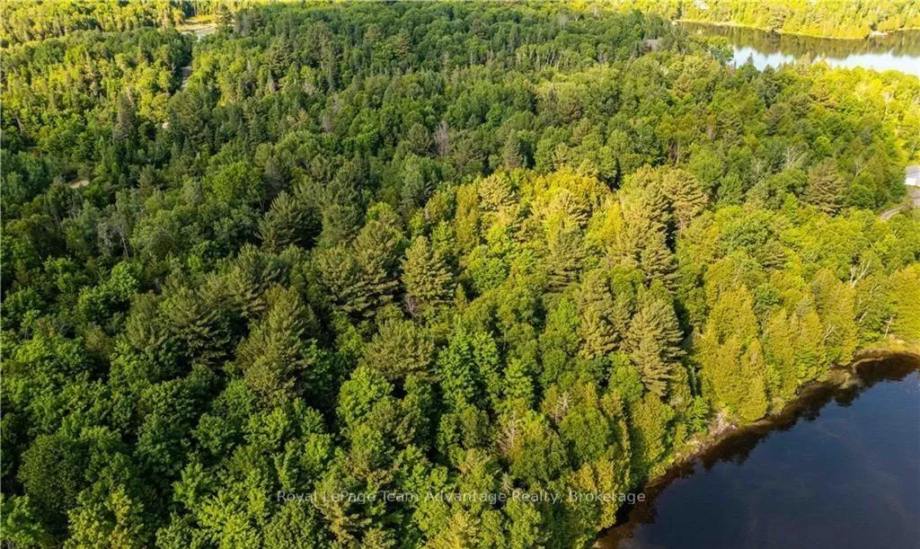 Photo 9 of 990 Shawanaga Lake Road, Whitestone, Hagerman — HOMEH