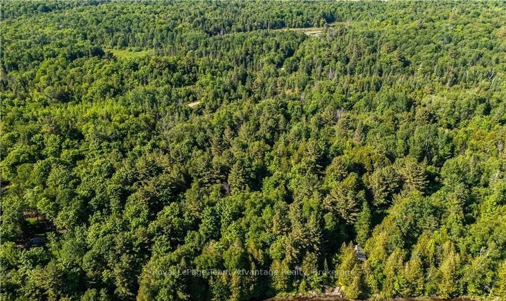 Photo 10 of 990 Shawanaga Lake Road, Whitestone, Hagerman — HOMEH