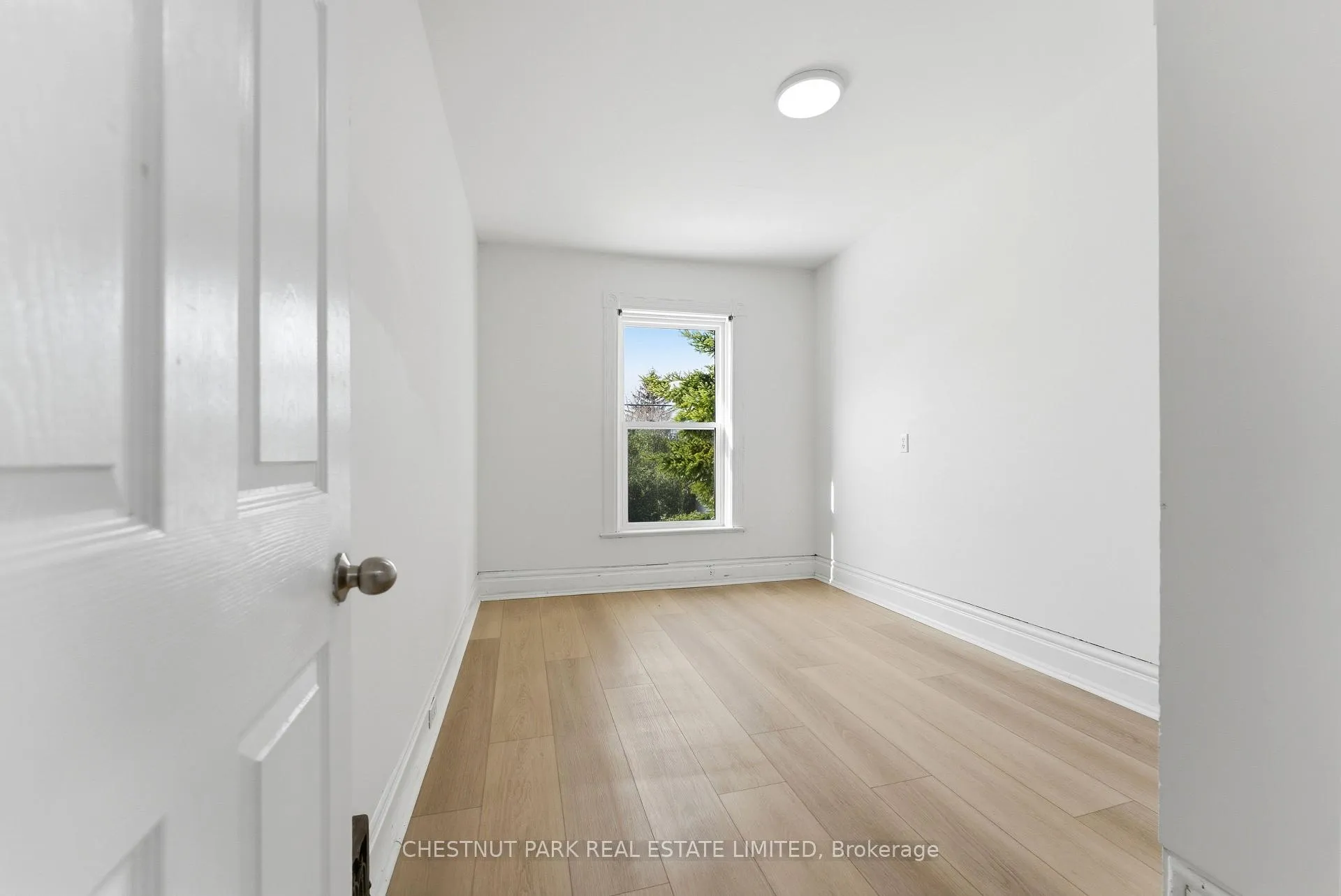 Photo 16 of 43 Dunbar Street, Belleville, Belleville Ward — HOMEH