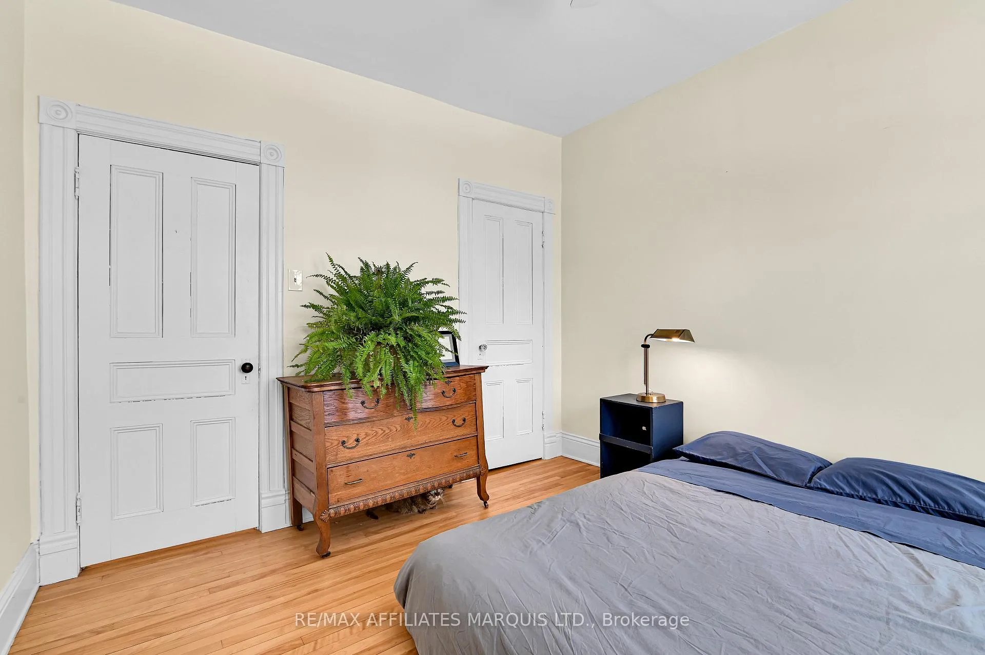 Photo 21 of 230 Sydney Street, Cornwall — HOMEH