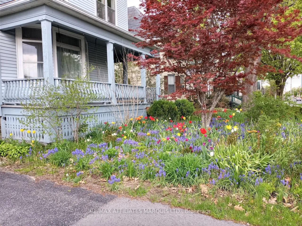 Photo 49 of 230 Sydney Street, Cornwall — HOMEH