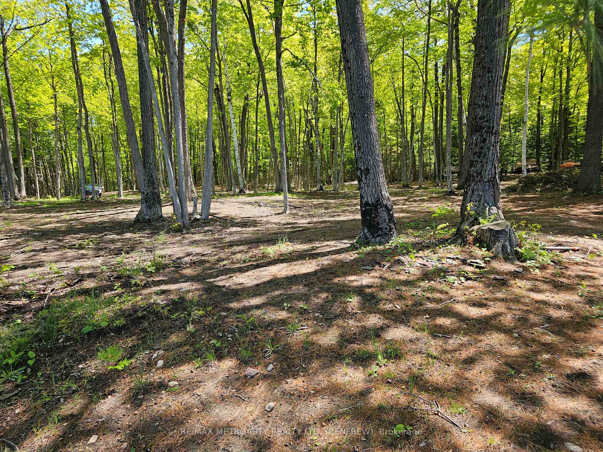 Photo 4 of 2193 Parcel B Chapeski Lane, Horton, Horton Twp — HOMEH